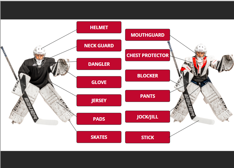 OMHA_Goalie_Equipment.png
