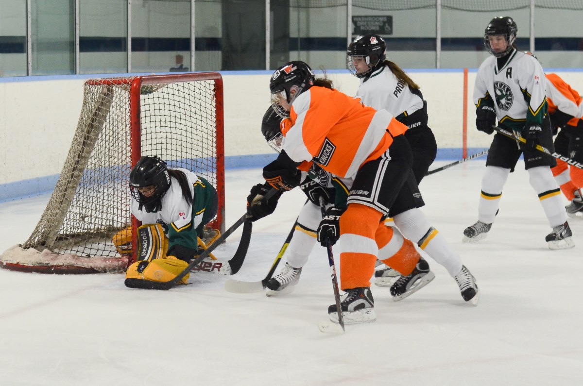 March_6_2015_Almaguin_at_Gretzky-2.jpg